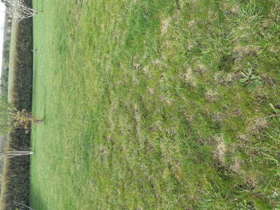 20190415_103506.jpg