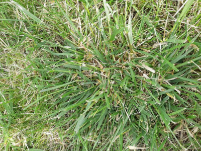 20190415_103438.jpg
