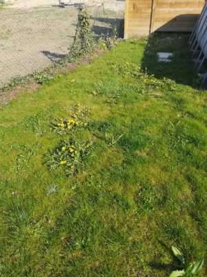 IMG_20190419_094431.jpg