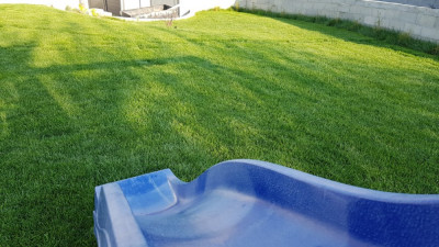 20190419_182119.jpg