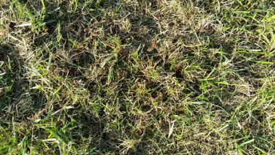 20190419_183706.jpg
