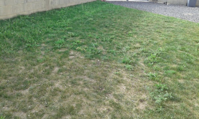 20190422_181445.jpg