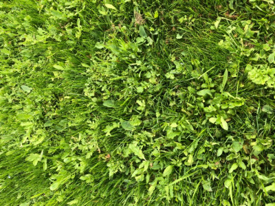 D89911E5-32F0-40E2-A42E-C36E0B6709CB.jpeg