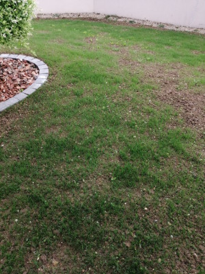 IMG_20190424_174819.jpg