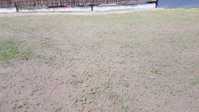 20190427_121430.jpg