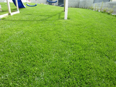 P1060823.JPG