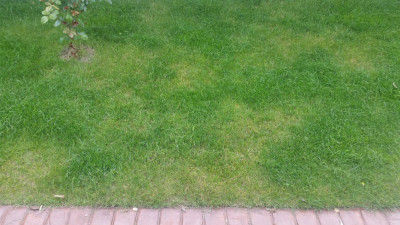 20190502_113130.jpg