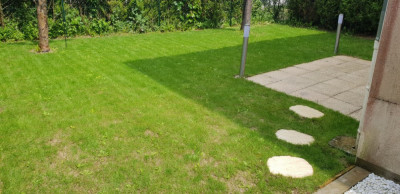 20190503_141932.jpg
