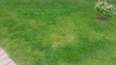20190502_113119.jpg