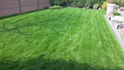 20160405_162000.jpg