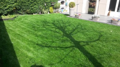 20160405_162026.jpg