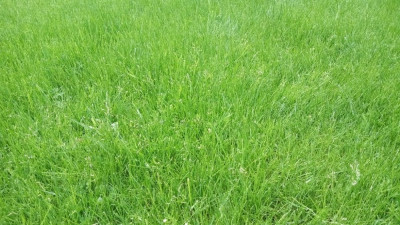 IMG_20190508_133610.jpg