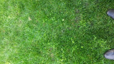 20160405_162109.jpg