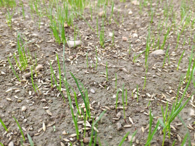 IMG_20190509_141206.jpg