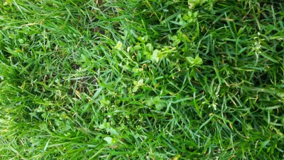 20160405_162113.jpg