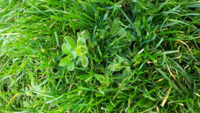 20160405_162118.jpg