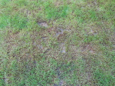 20190509_210621.jpg