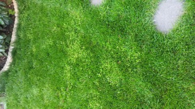 20160405_162411.jpg