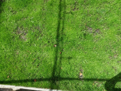 20190511_122950.jpg