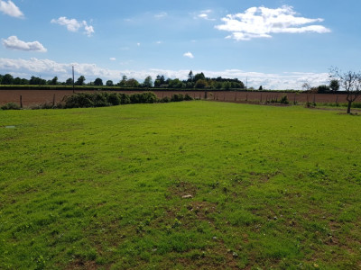 20190511_163834.jpg