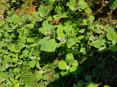 20190511_163859.jpg