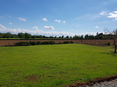 20190511_163931.jpg