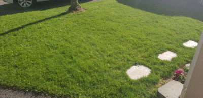 20190513_180522.jpg