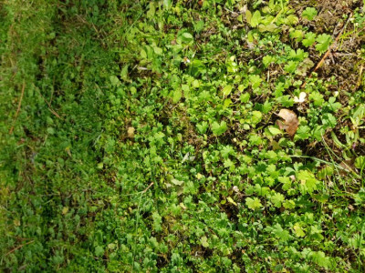 20181001_142038.jpg