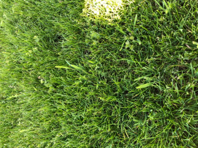 A4590445-F18A-453B-BB63-AD580EE6C94D.jpeg