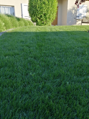 IMG_20190514_203220.jpg