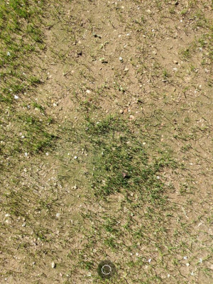 IMG_20190515_111505.jpg
