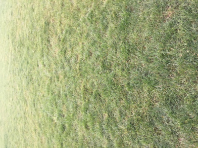 E925C079-AB29-4AA4-A2AD-748698DB1D70.jpeg