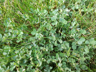 20190516_075922.jpg