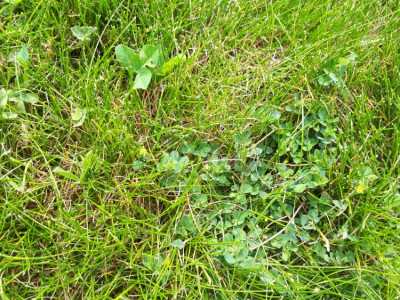 20190516_121553.jpg