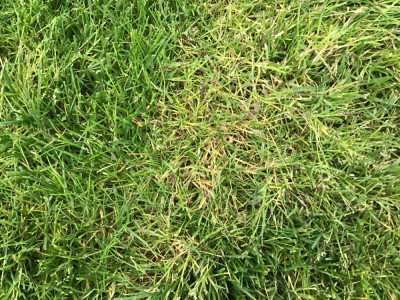 45E998D6-053E-4150-A5FF-2754A59D49F5.jpeg