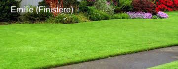 images-1.jpg