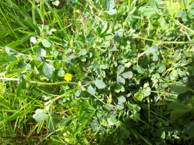 20190518_122758.jpg