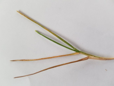 20190518_173803.jpg