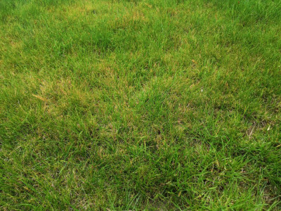 IMG_20190520_155459.jpg