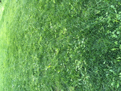 16840E8E-4D2D-4735-B3F2-B51358E5F74D.jpeg