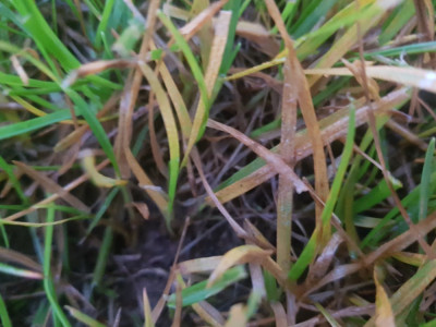 20190521_204627.jpg