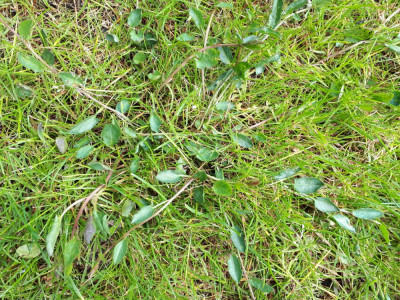 20190428_103517.jpg