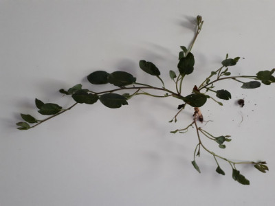 20190505_210847.jpg