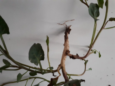 20190505_210901.jpg