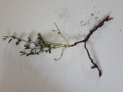 20190506_104925.jpg