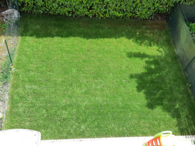 20190522_142737.jpg