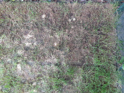 20190522_134654.jpg