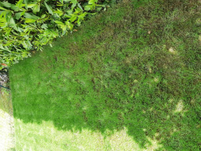 20190522_134659.jpg