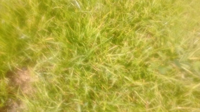IMG_20190524_165321.jpg