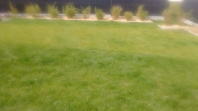 IMG_20190524_170213.jpg